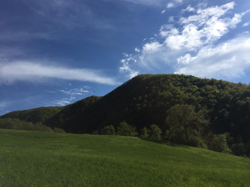 Agriturismo La Ferraia Pianello  Eksteriør bilde